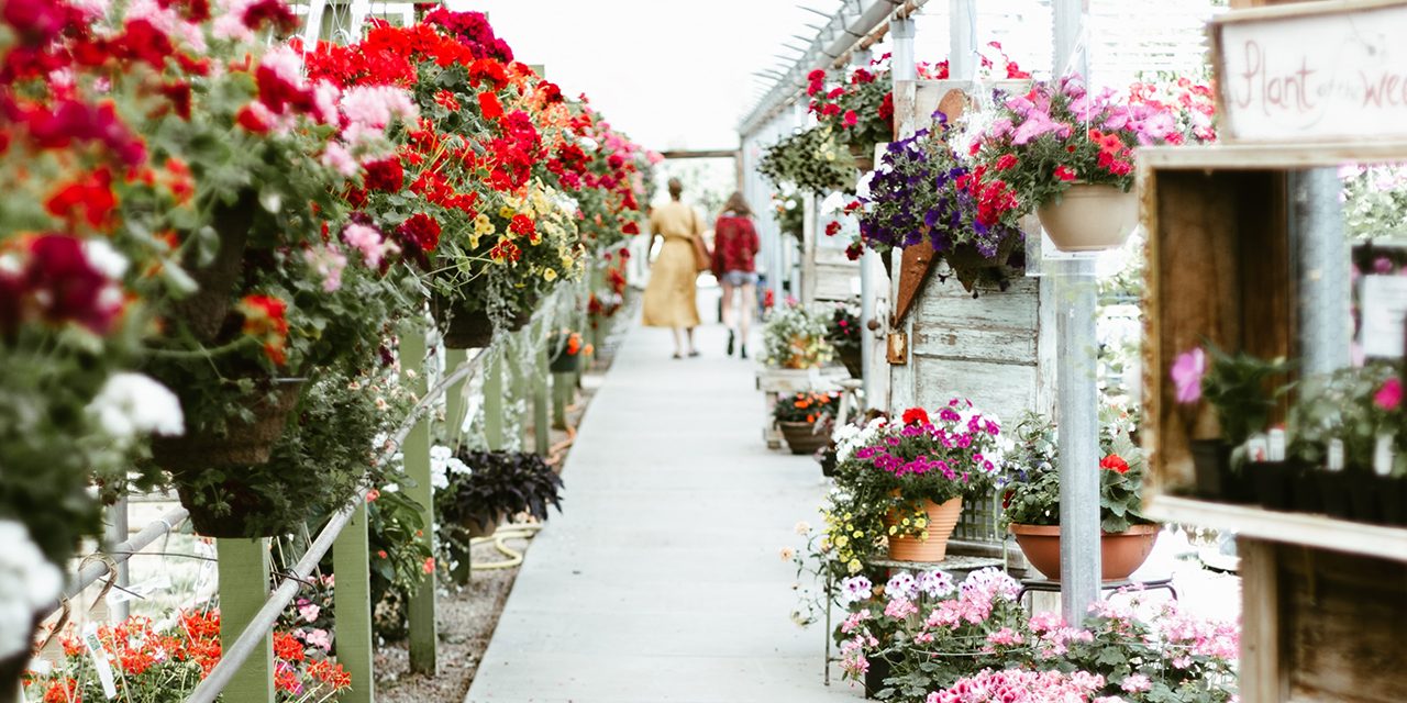 O bom vendedor O bom vendedor