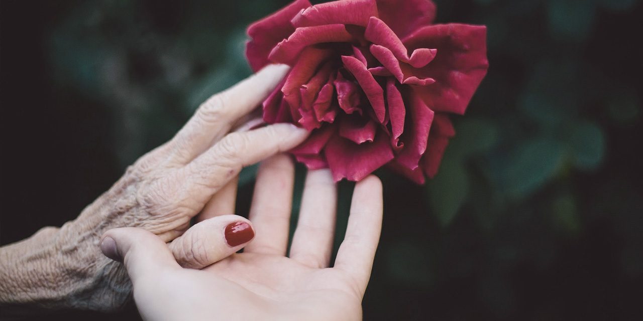 Já trocou idéias com a sua avó hoje? Já trocou idéias com a sua avó hoje?