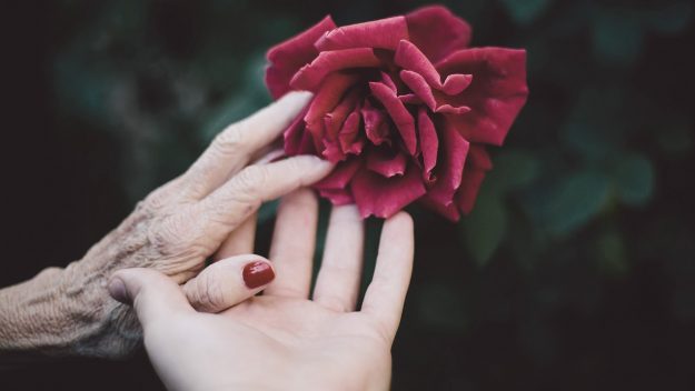 Já trocou idéias com a sua avó hoje? Já trocou idéias com a sua avó hoje?
