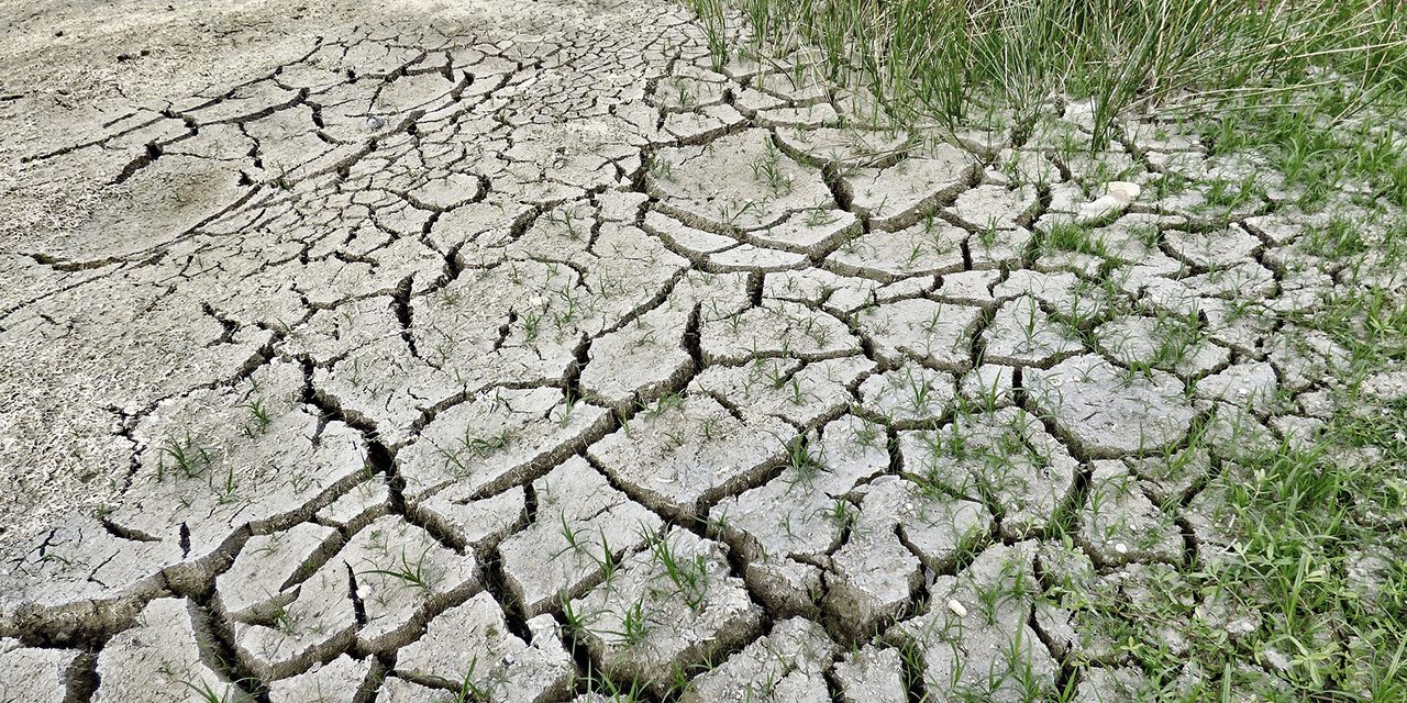 A transformacao sempre chega