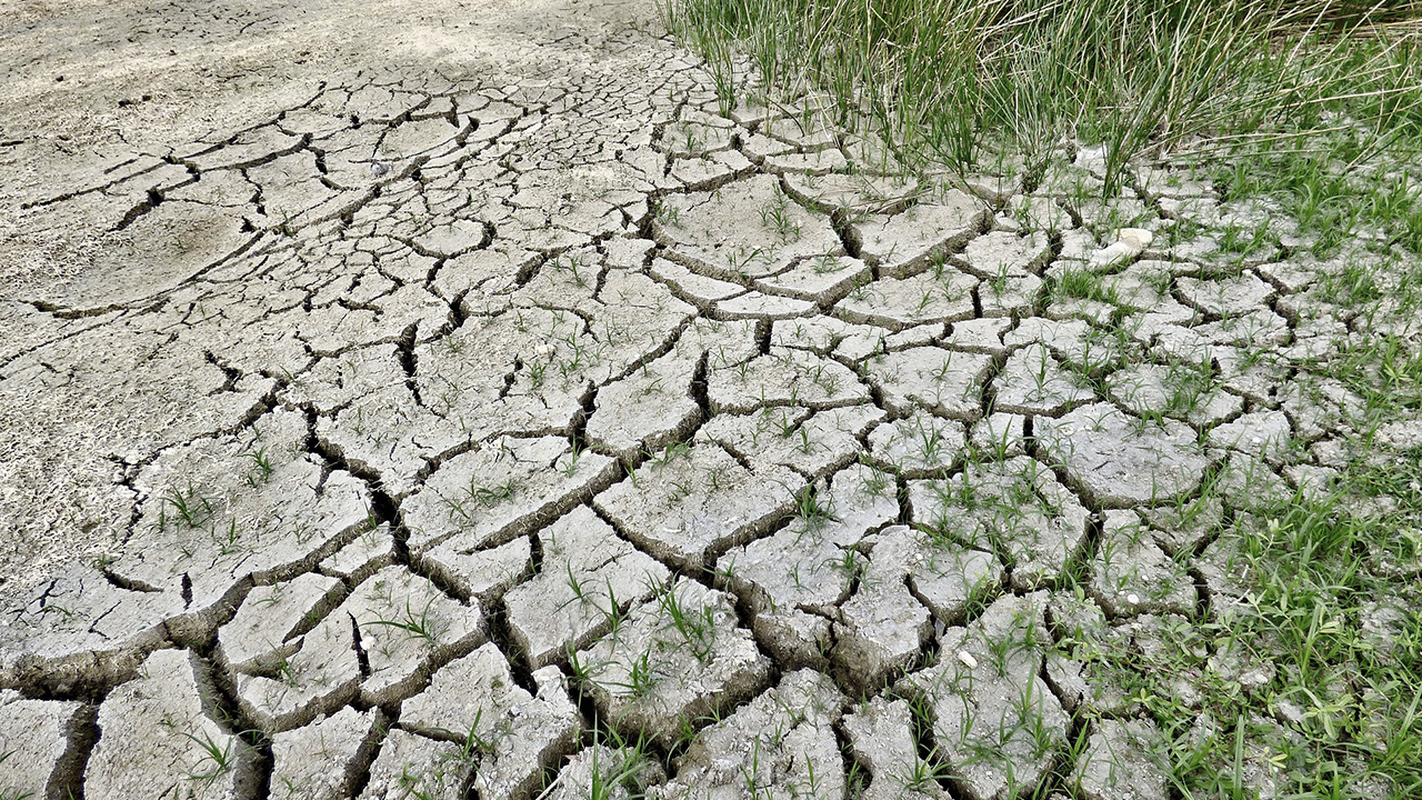 A transformacao sempre chega A transformacao sempre chega