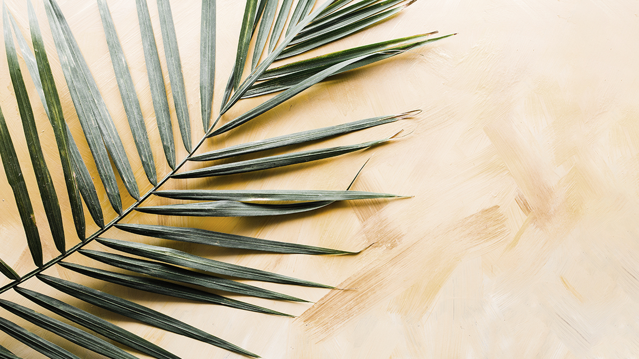 A páscoa do apresentador A páscoa do apresentador